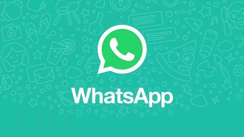 WhatsApp客服系统